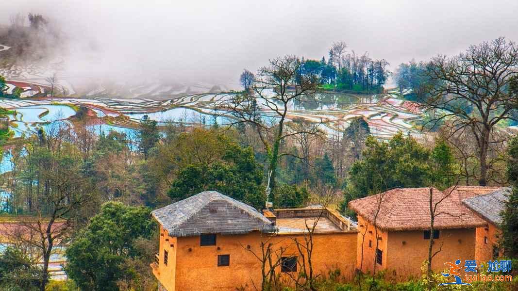 元阳最佳旅游时间，元阳几月风景最美？