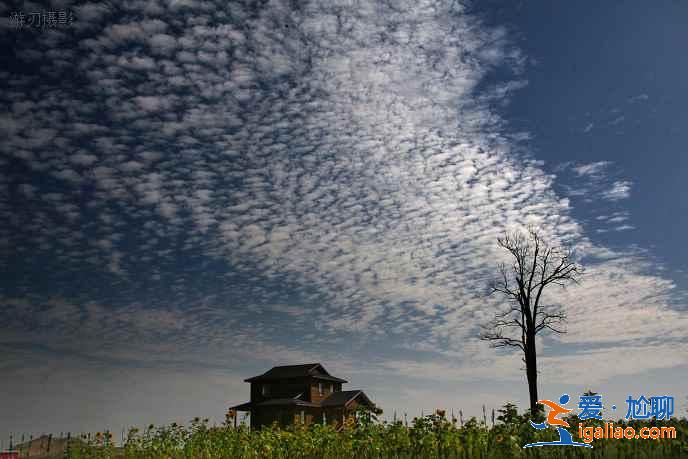 国内夏季最佳十大旅行目的地，避暑美景可兼得！？