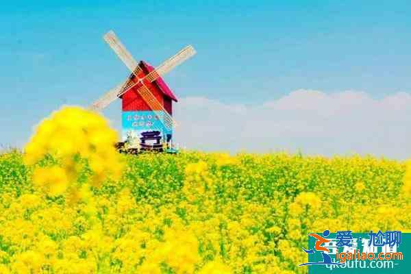 2021重庆秀山油菜花什么时候开 附油菜花观赏攻略？
