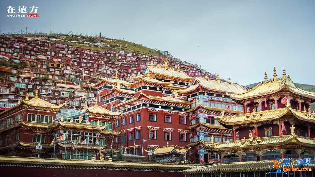 走进世界上最大的佛学院——喇荣五明佛学院？
