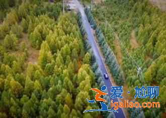 【草原篇】2019夏天北京自驾游去哪好，夏季北京周边自驾游？