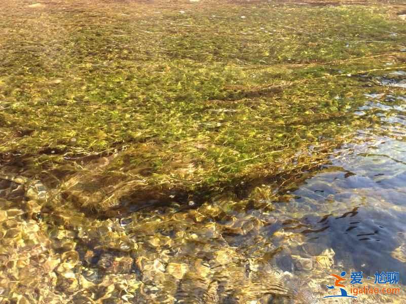 后河在哪里，延庆后河怎么去？