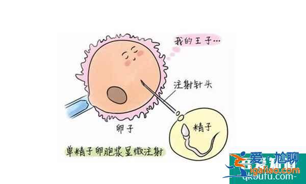 身体正常想要男孩能做试管吗?？