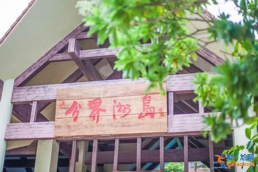 西岛和分界洲岛哪个好？
