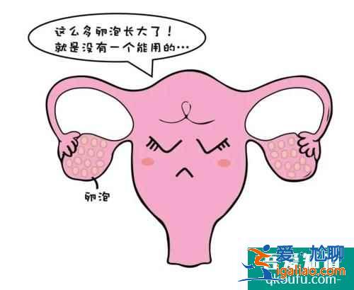 试管婴儿优势卵泡一般有几个？