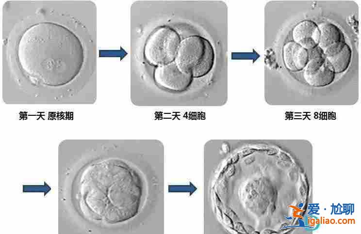 银川代生小孩-最便宜的知名助孕公司？