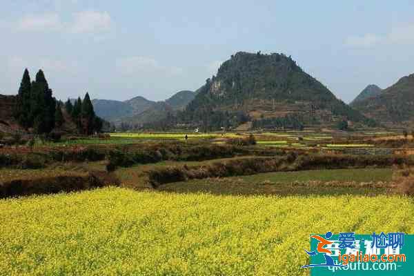 2021长沙油菜花欣赏有哪些地方 长沙油菜花景点推荐？