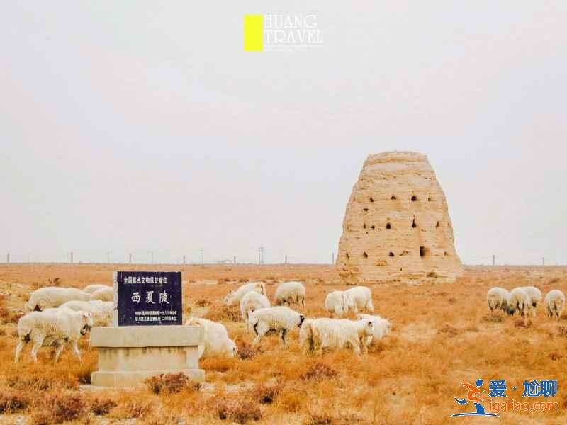 西夏王陵门票多少钱，西夏王陵门票价格？