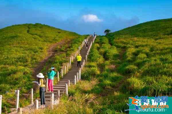 武功山帐篷节2021时间 萍乡武功山游玩攻略？