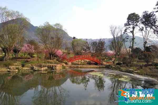 2021贵州春天旅游去哪好 春天赏花好去处？