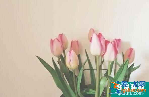 孕前基础体温代表什么？如何测量？