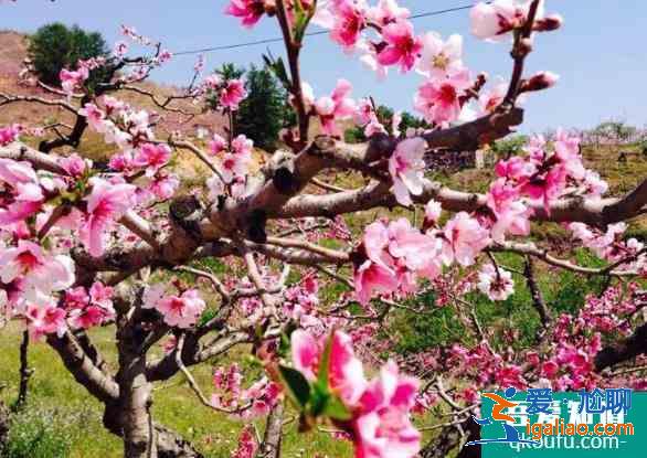 丹东旅游景点哪里好玩 丹东旅游景点必去的地方？