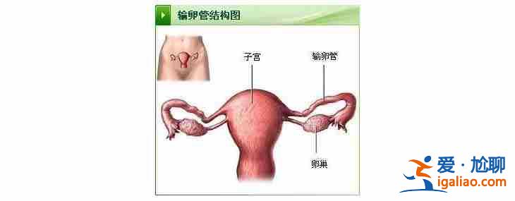 哈尔滨代生男孩哪家好「包成功包出生」？