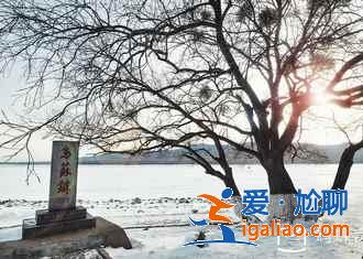 黑瞎子岛在哪里,黑瞎子岛门票多少钱? 黑瞎子岛在哪里,黑瞎子岛门票多少钱?