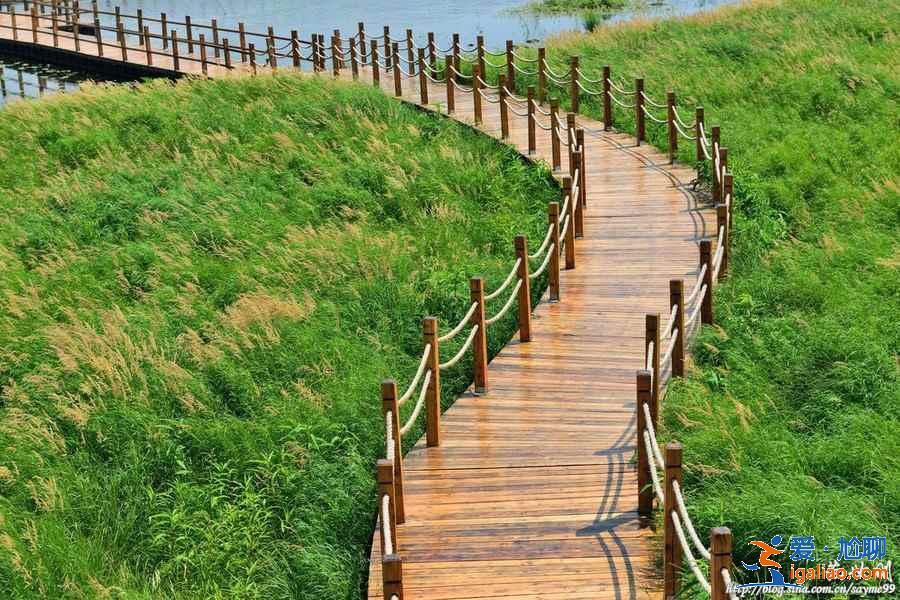 黑瞎子岛在哪里,黑瞎子岛门票多少钱? 黑瞎子岛在哪里,黑瞎子岛门票多少钱?