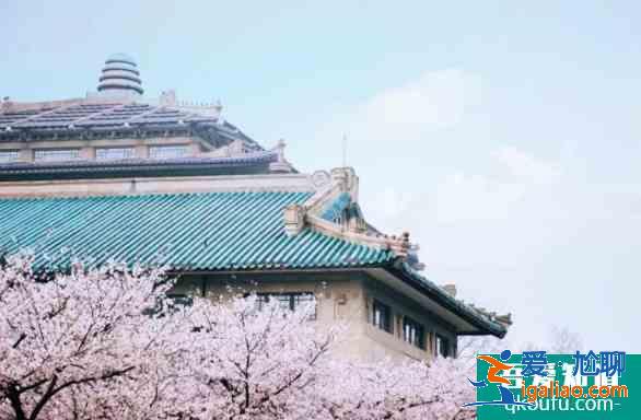 三四月国内赏花踏青地址推荐？