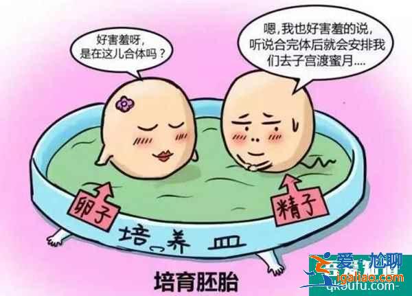 试管婴儿的原理是什么？？