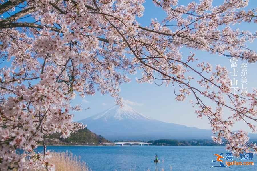 几月观赏富士山好，观赏富士山最佳时间 地点 乘车？