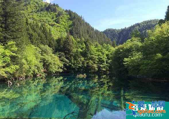 九寨沟景区游览路线图 九寨沟景区怎么坐车？