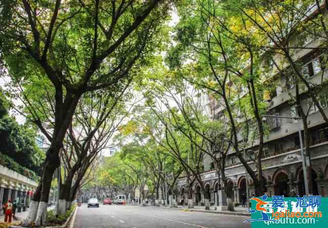 重庆有什么好玩的地方景点介绍 重庆二日游最佳路线图？