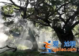 【霞浦最佳旅游时间】霞浦什么时候去最好，霞浦什么季节最好？