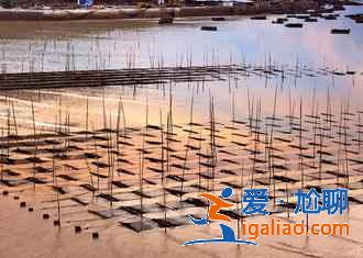 【霞浦最佳旅游时间】霞浦什么时候去最好，霞浦什么季节最好？