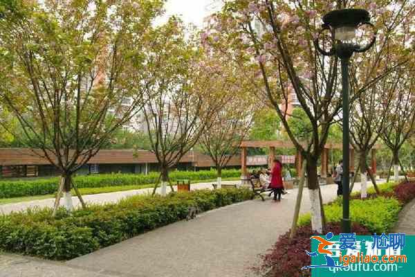 2021重庆九龙坡半山公园樱花什么时候开 附樱花观赏攻略？