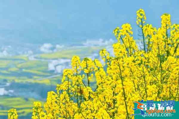 徽州哪些地方好玩 徽州春季适合去哪里？