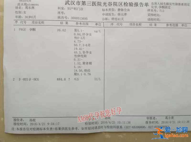 西北妇幼可以助孕吗-选择我们？