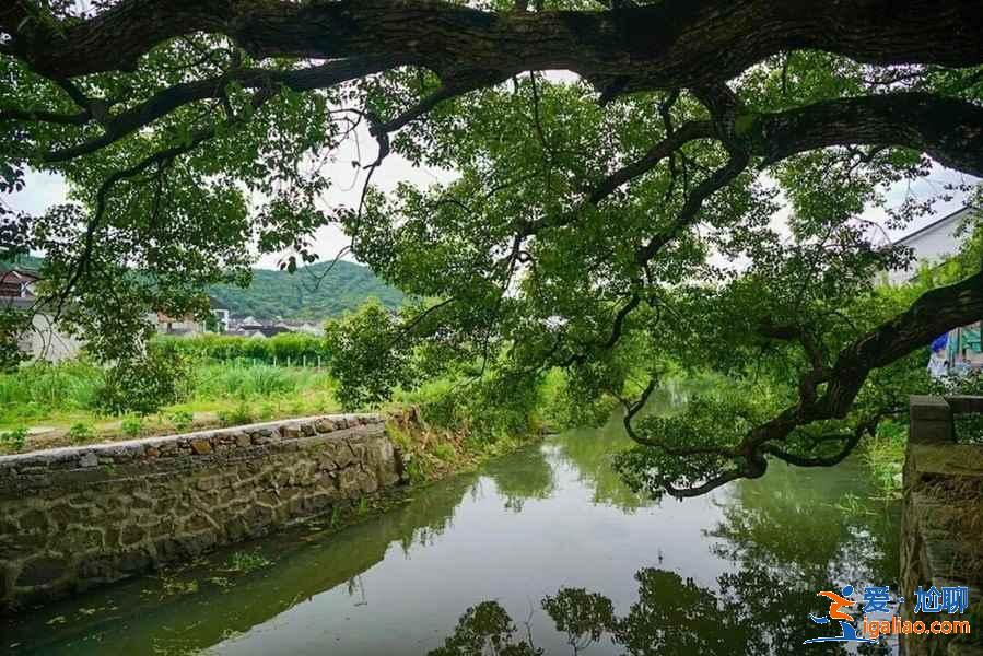 去苏州西山住哪好，苏州西山住哪便宜，苏州西山住宿推荐？