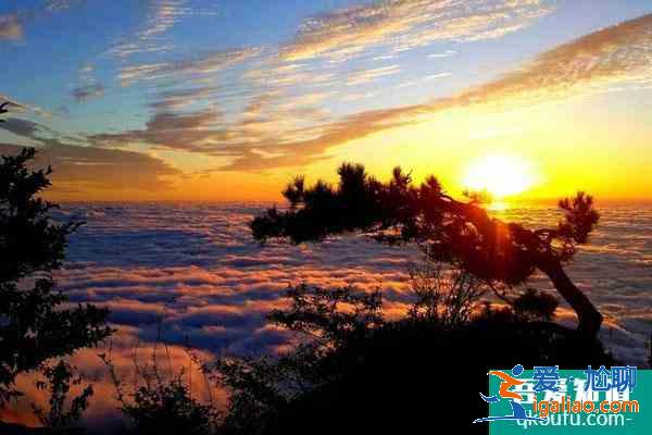 天岳幕阜山景区门票价格一览 附交通指南？