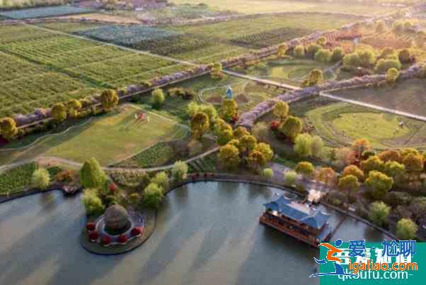 上海紫藤园综合体什么时候开放 中国最大紫藤主题园？