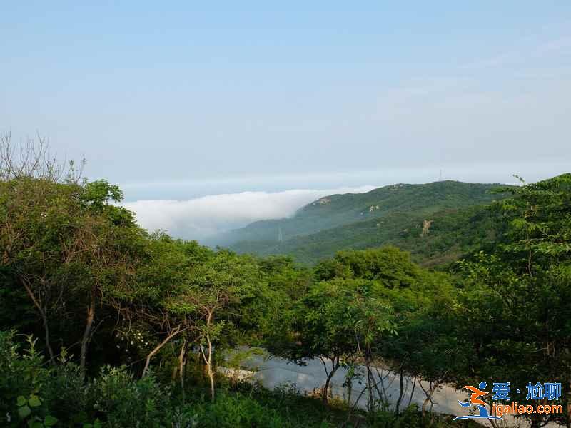 连云港去哪玩，连云港哪里好玩，连云港景点推荐？
