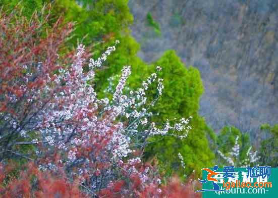 2021焦作云台山门票多少钱 云台山现在门票价格是多少？