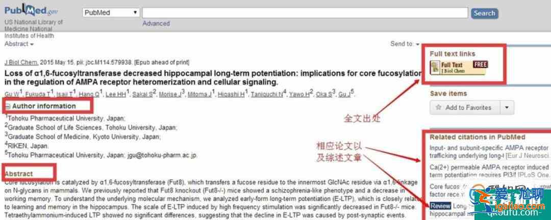 如何使用PubMed？