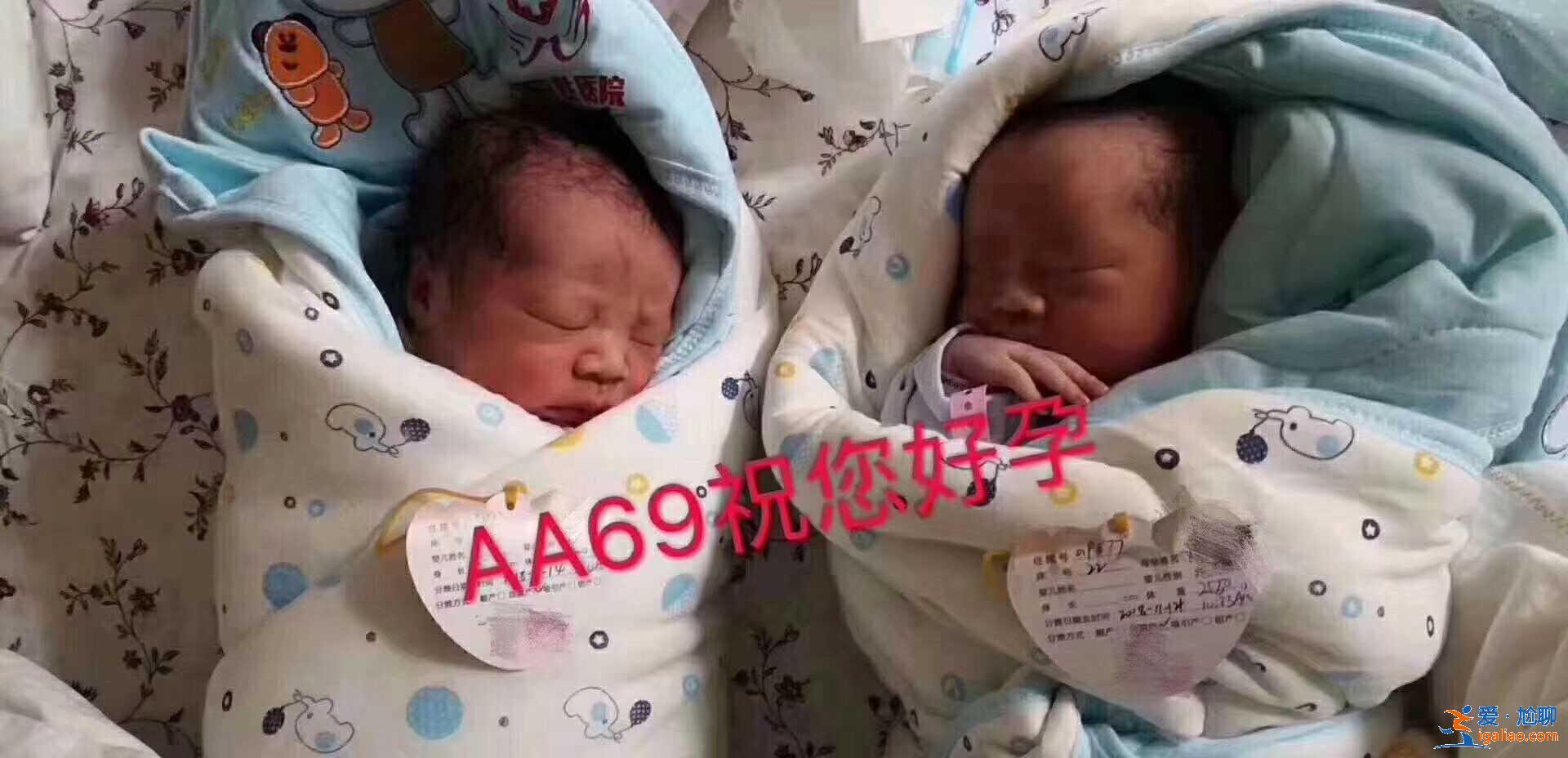 上海代妈电话，挑选优质受精卵助孕成功？