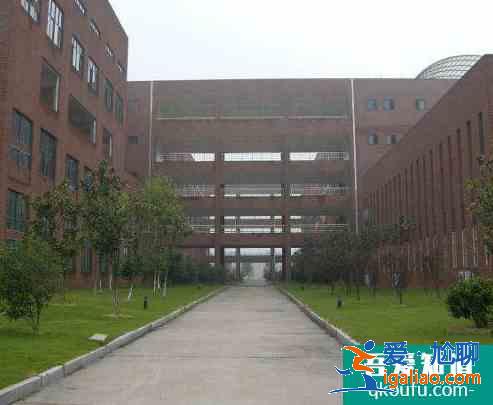 女生学什么专业就业前景好？