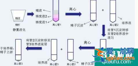 泰国试管婴儿洗精技术艾滋病患者的福音？