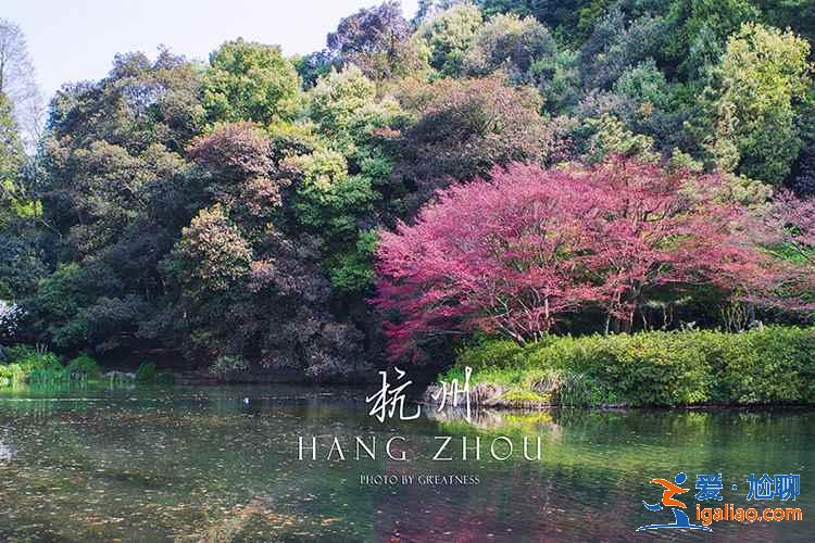 西湖新十景有哪些，西湖新十景好玩吗，西湖新十景旅游攻略？