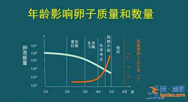 国内包生男孩价格表,要花多少钱？？