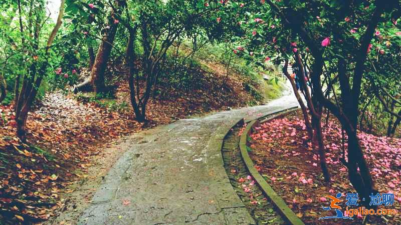 孤山寺北贾亭西写的是哪里？孤山寺北贾亭西描写的是哪里的景色？？