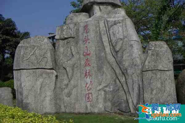 2021重庆龙头嘴森林公园世界森林日景点免票活动？