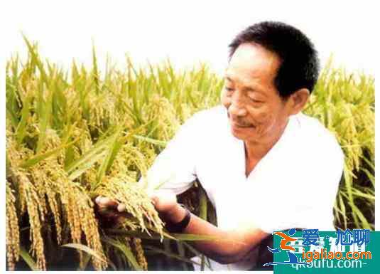 袁隆平给世人留下了什么？袁隆平这一生有什么成就？？