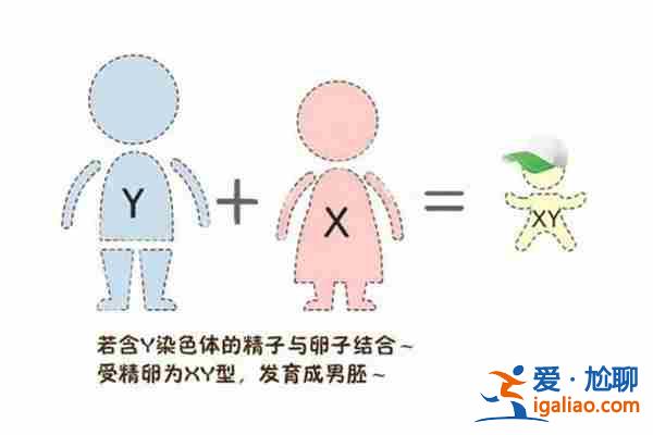 推荐代生孩子价格联系方式[ 费用透明 ]？