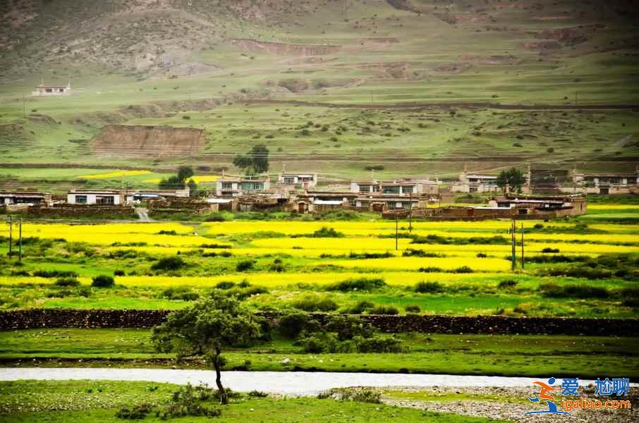 【林芝旅游】林芝12个月景色看点？