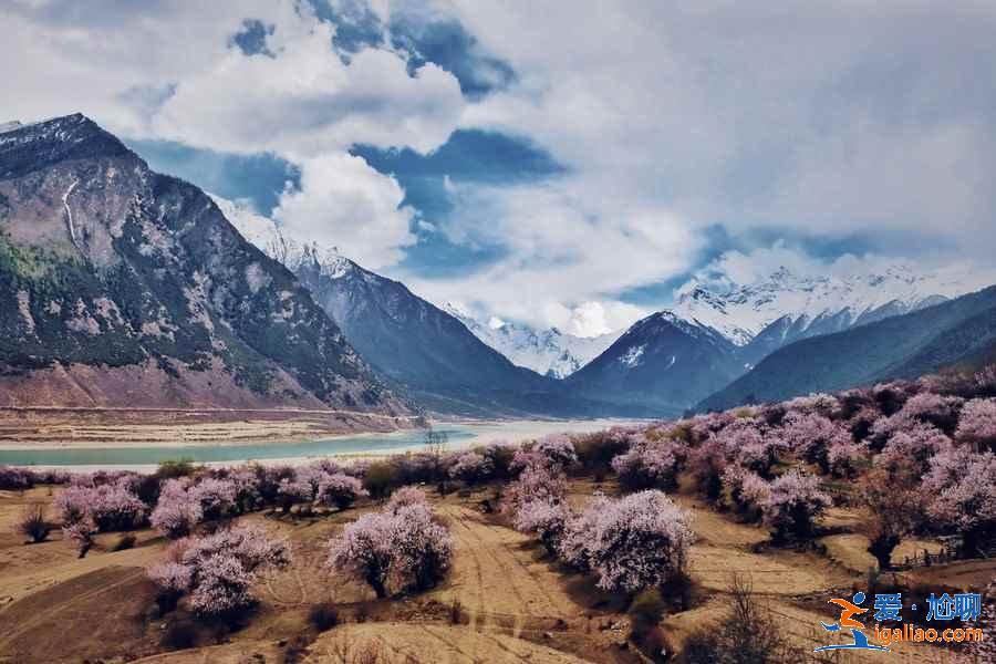 【林芝旅游】林芝12个月景色看点？