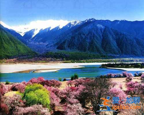 【林芝旅游】林芝12个月景色看点？