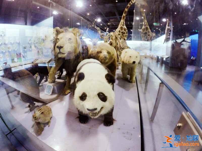 西湖文化广场有什么好玩的，西湖文化广场好玩吗，西湖文化广场怎么样？