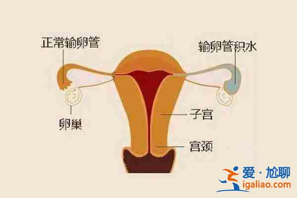 拉萨哪个助孕机构好_10天圆梦？