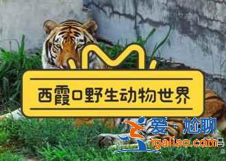 威海好玩吗，威海哪个景点值得去，威海必游景点推荐？